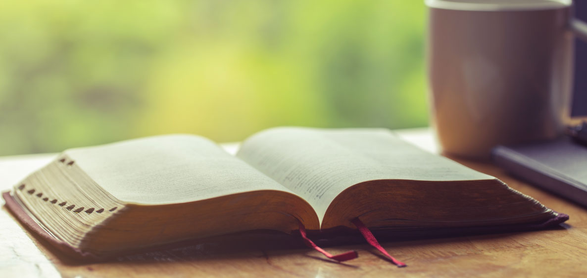 Read the Bible Cover to Cover