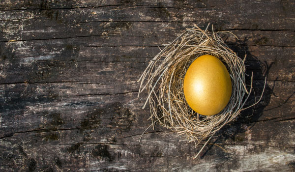 Golden egg in a nest